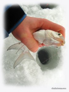 IMG_2415.JPG
