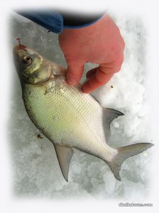 IMG_2420.JPG