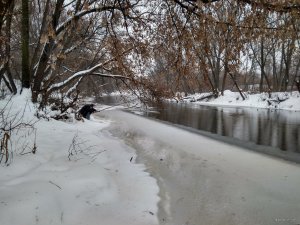 IMG_20190127_120621_HDR.jpg