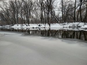 IMG_20190127_132900_HDR.jpg