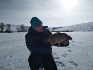 IMG_20190129_121211.jpg