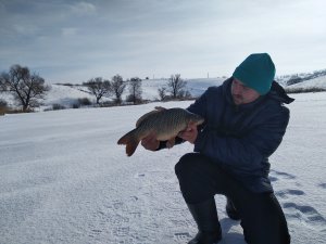 IMG_20190129_121217.jpg