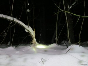 IMG_1001.JPG
