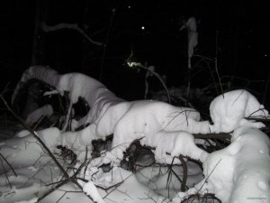 IMG_1005.JPG
