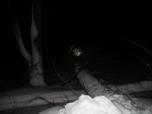 IMG_1006.JPG