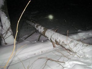 IMG_1008.JPG