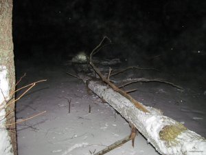 IMG_1009.JPG