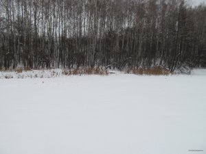 IMG_1098.JPG