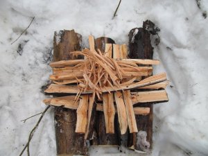 IMG_1111.JPG