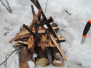 IMG_1113.JPG