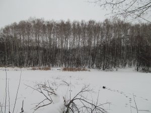 IMG_1131.JPG