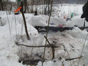 IMG_1153.JPG