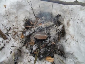 IMG_1156.JPG