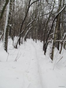 IMG_1171.JPG