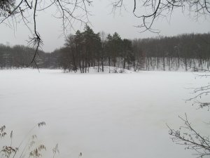 IMG_1176.JPG