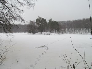 IMG_1177.JPG