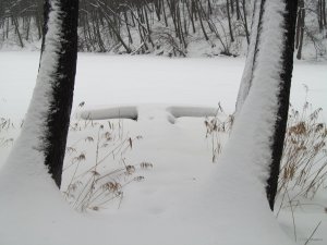 IMG_1180.JPG