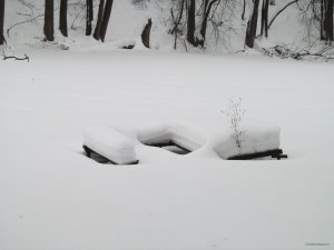 IMG_1183.JPG
