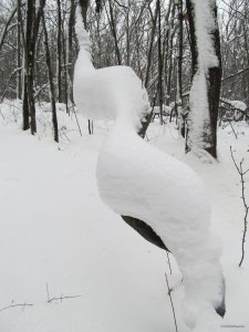 IMG_1191.JPG