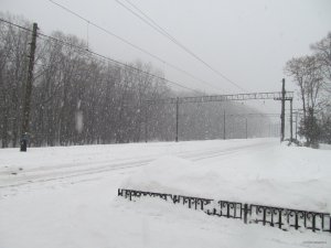 IMG_1196.JPG