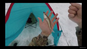 Ветерок , Печенежское водохранилище, 27.01.2018 .00_01_18_09.неподвижное изображение003.jpg