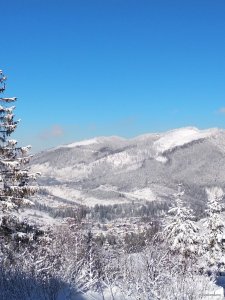 IMG_20190119_113954.jpg