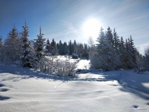 IMG_20190119_114820.jpg