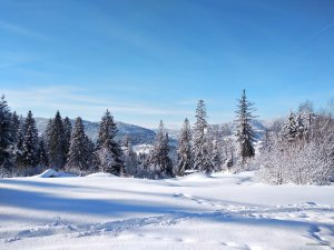 IMG_20190119_114833.jpg