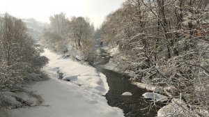 IMG_20190121_101614.jpg