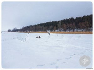 20190201_100205-2016x1512-01.jpeg