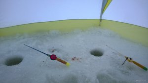 WP_20190201_009.jpg