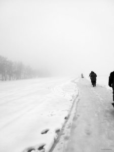 20190202_140030.jpg