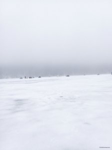 20190202_135923.jpg