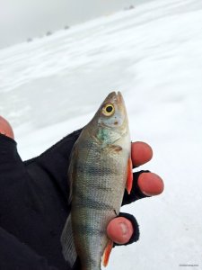 20190202_140010.jpg