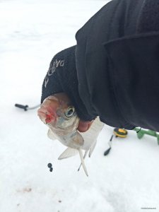 20190202_135938.jpg
