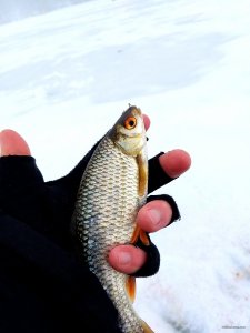 20190202_135908.jpg