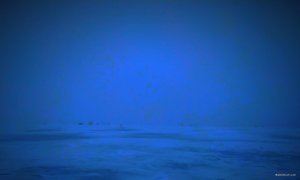 IMG_20190202_195707.jpg