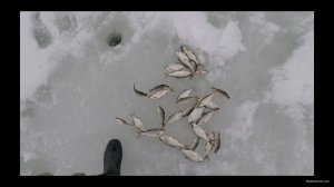 Рыбалка в глухозимье щука, плотва, подлещик, густера.00_32_57_14.неподвижное изображение001.jpg