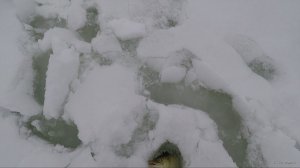 Рыбалка в глухозимье щука, плотва, подлещик, густера.00_03_42_08.неподвижное изображение002.jpg