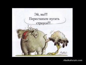 IMG-caad1438e0aaf0c6e21d279b7f75fd88-V.jpg