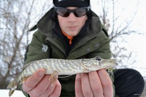 DSC_0989.JPG
