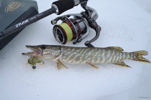 DSC_0974.JPG