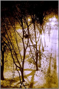 20190204_05465n.jpg