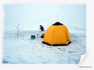 IMG_2457_.jpg