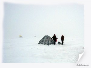 IMG_2470_.jpg