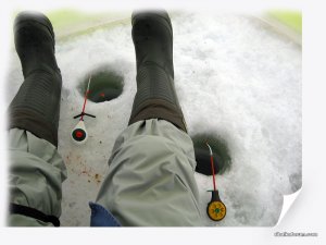 IMG_2485_.jpg