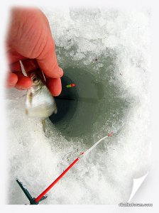 IMG_2486_.jpg