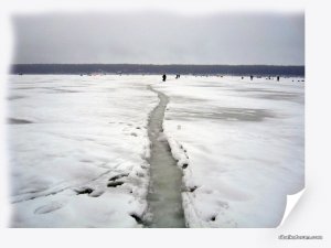 IMG_2497_.jpg