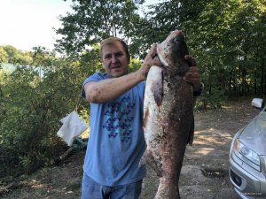 IMG_0007.JPG