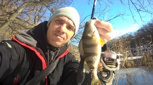 WP_20190207_10_46_36_Pro.jpg